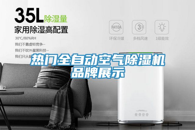 熱門全自動(dòng)空氣除濕機(jī)品牌展示