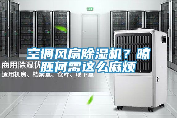 空調風扇除濕機？晾胚何需這么麻煩