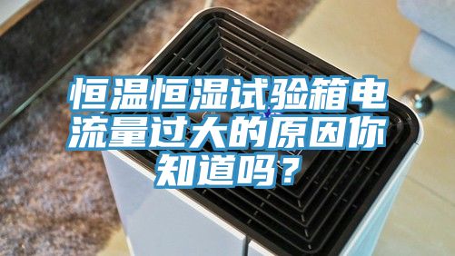 恒溫恒濕試驗箱電流量過大的原因你知道嗎？