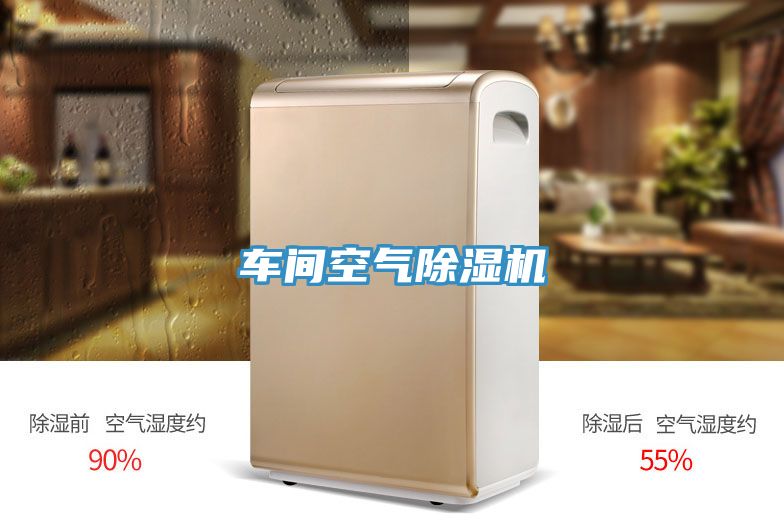 車(chē)間空氣除濕機(jī)