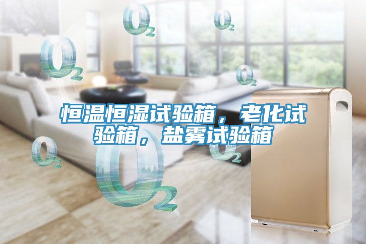 恒溫恒濕試驗箱，老化試驗箱，鹽霧試驗箱