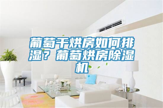 葡萄干烘房如何排濕?葡萄烘房除濕機(jī)