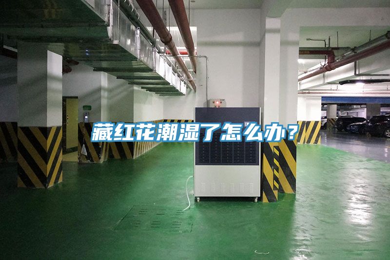 藏紅花潮濕了怎么辦？