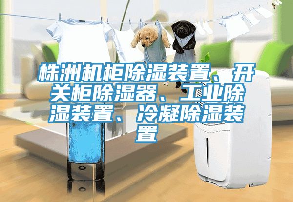 株洲機(jī)柜除濕裝置、開關(guān)柜除濕器、工業(yè)除濕裝置、冷凝除濕裝置