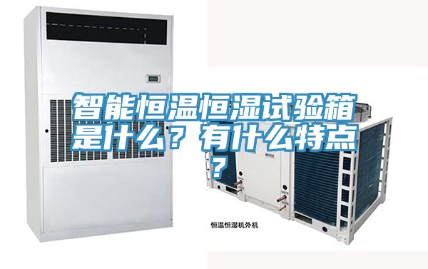 智能恒溫恒濕試驗箱是什么？有什么特點？