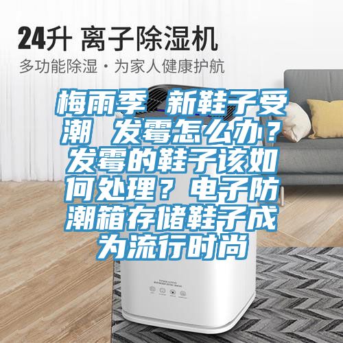 梅雨季 新鞋子受潮 發霉怎么辦？發霉的鞋子該如何處理？電子防潮箱存儲鞋子成為流行時尚