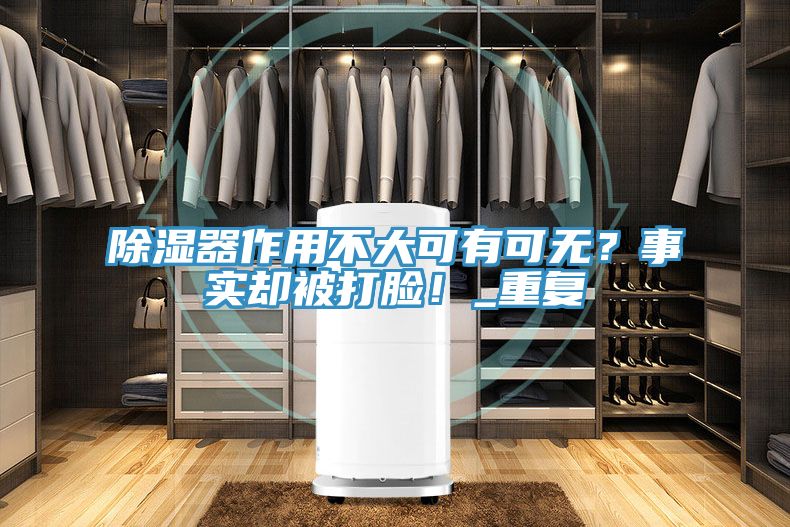 除濕器作用不大可有可無(wú)?事實(shí)卻被打臉!_重復(fù)