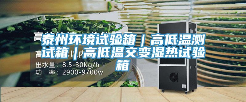 泰州環(huán)境試驗箱|高低溫測試箱|高低溫交變濕熱試驗箱