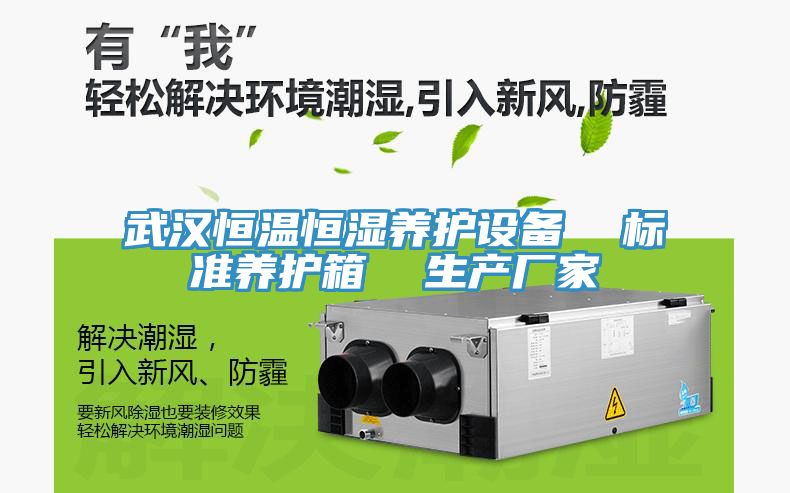 武漢恒溫恒濕養護設備 標準養護箱 生產廠家