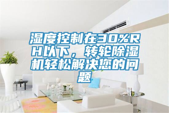 濕度控制在30%RH以下,轉(zhuǎn)輪除濕機輕松解決您的問題