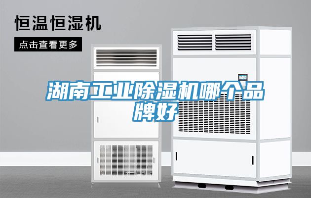 湖南工業除濕機哪個品牌好