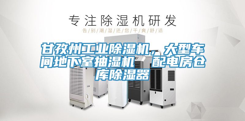 甘孜州工業除濕機，大型車間地下室抽濕機  配電房倉庫除濕器