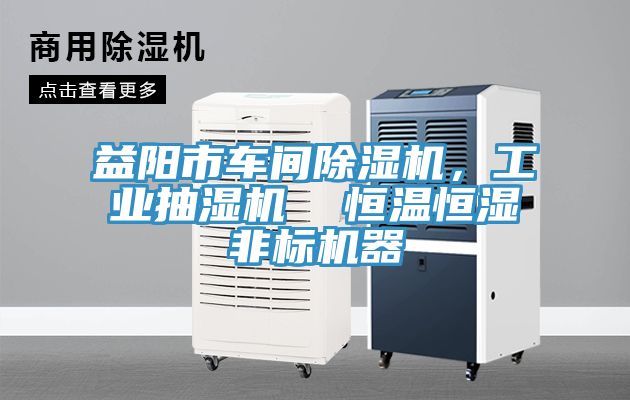 益陽市車間除濕機，工業抽濕機  恒溫恒濕非標機器
