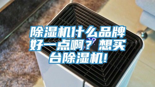 除濕機(jī)什么品牌好一點(diǎn)啊?想買臺除濕機(jī)!
