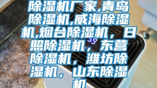 除濕機廠家,青島除濕機,威海除濕機,煙臺除濕機，日照除濕機，東營除濕機，濰坊除濕機，山東除濕機