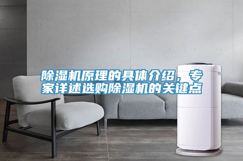 除濕機原理的具體介紹，專家詳述選購除濕機的關鍵點