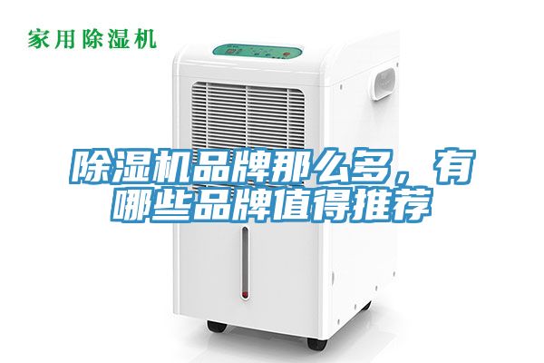 除濕機品牌那么多,有哪些品牌值得推薦