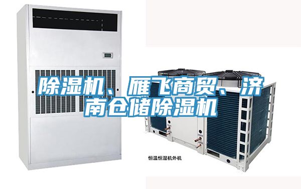 除濕機、雁飛商貿、濟南倉儲除濕機
