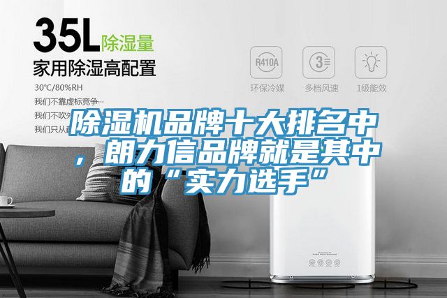 除濕機品牌十大排名中,朗力信品牌就是其中的“實力選手”