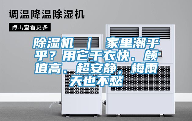 除濕機(jī) | 家里潮乎乎?用它干衣快、顏值高、超安靜,梅雨天也不愁
