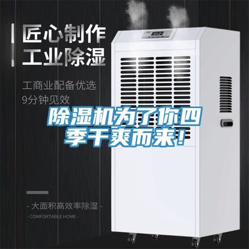 除濕機為了你四季干爽而來!