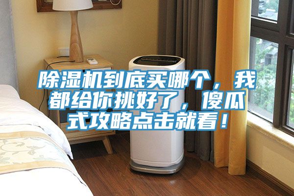 除濕機到底買哪個,我都給你挑好了,傻瓜式攻略點擊就看!