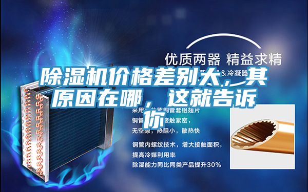 除濕機(jī)價格差別大，其原因在哪，這就告訴你