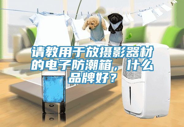 請教用于放攝影器材的電子防潮箱,什么品牌好?