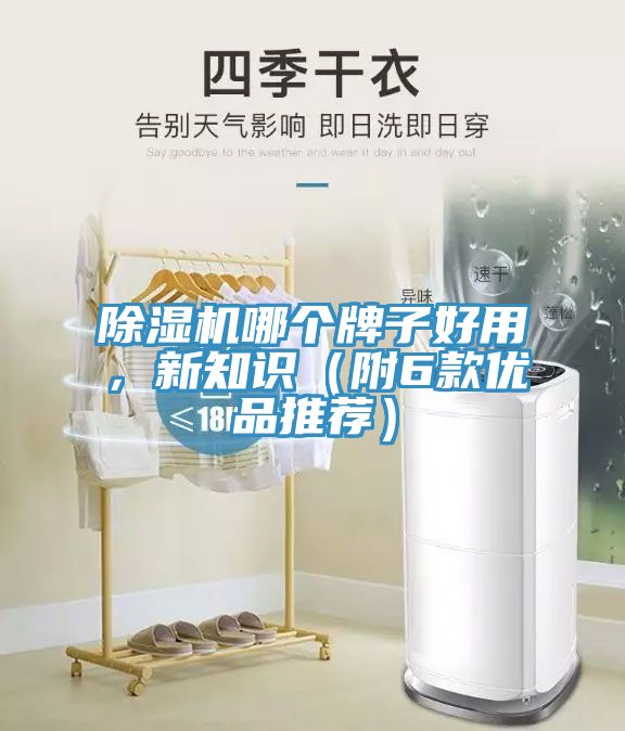 除濕機哪個牌子好用，新知識（附6款優(yōu)品推薦）