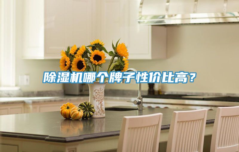 除濕機哪個牌子性價比高?