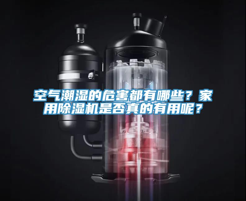 空氣潮濕的危害都有哪些?家用除濕機(jī)是否真的有用呢?
