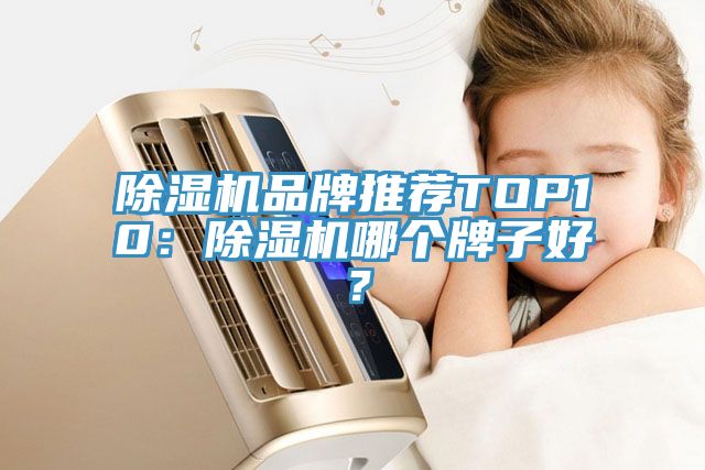 除濕機品牌推薦TOP10:除濕機哪個牌子好?