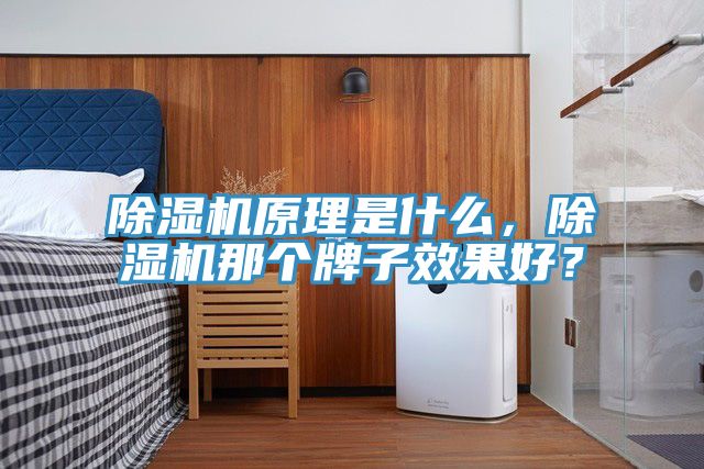 除濕機原理是什么，除濕機那個牌子效果好？