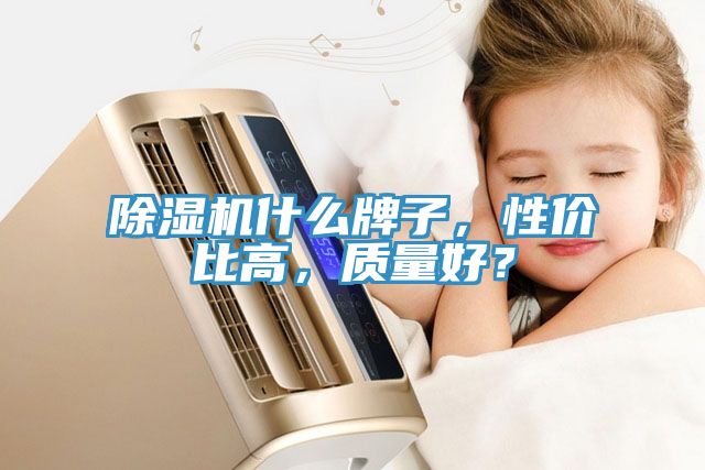 除濕機什么牌子,性價比高,質(zhì)量好?