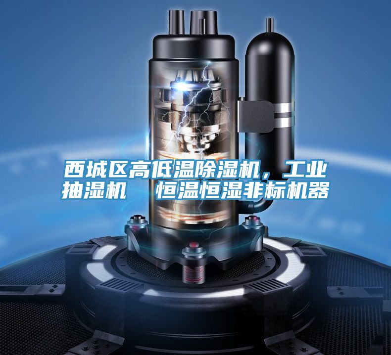 西城區(qū)高低溫除濕機(jī)，工業(yè)抽濕機(jī)  恒溫恒濕非標(biāo)機(jī)器