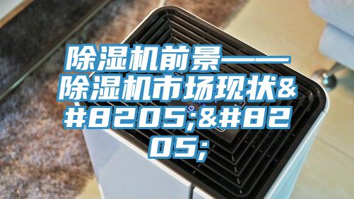 除濕機(jī)前景——除濕機(jī)市場現(xiàn)狀‍‍