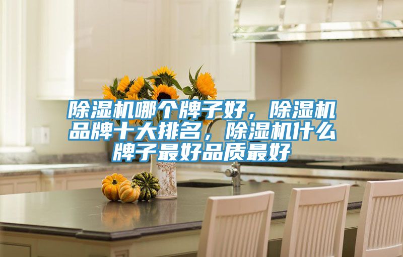 除濕機哪個牌子好,除濕機品牌十大排名,除濕機什么牌子最好品質最好