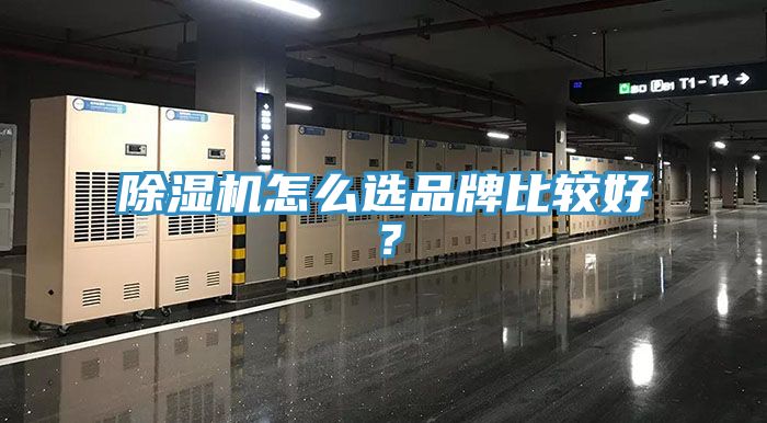 除濕機怎么選品牌比較好?
