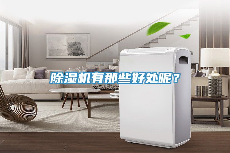 除濕機有那些好處呢？
