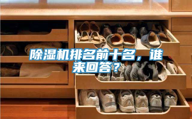除濕機排名前十名，誰來回答？