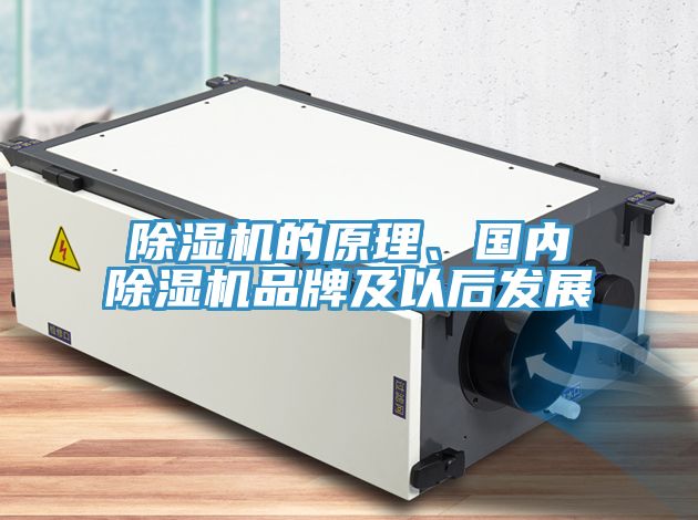 除濕機的原理、國內(nèi)除濕機品牌及以后發(fā)展