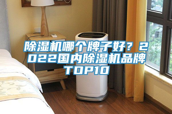 除濕機哪個牌子好?2022國內除濕機品牌TOP10