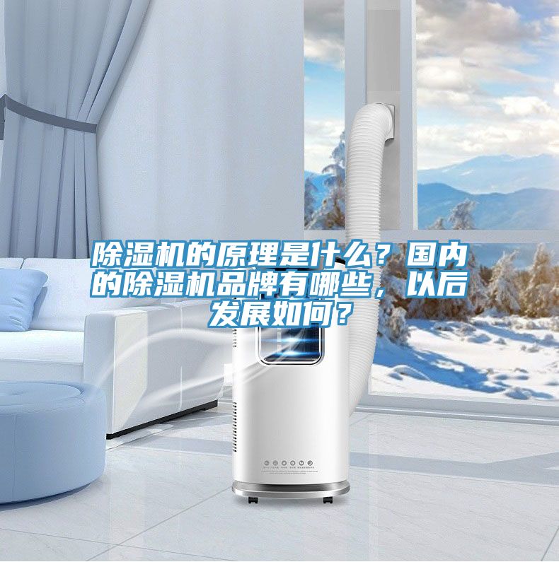 除濕機的原理是什么？國內(nèi)的除濕機品牌有哪些，以后發(fā)展如何？
