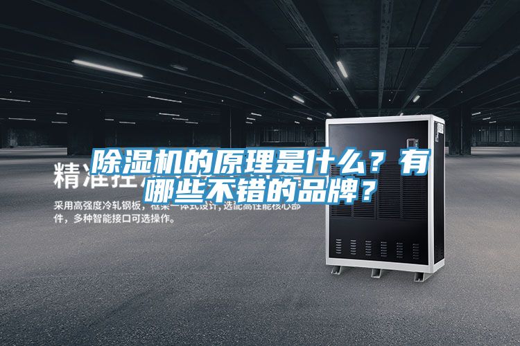 除濕機的原理是什么？有哪些不錯的品牌？
