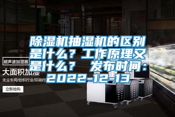 除濕機抽濕機的區別是什么？工作原理又是什么？ 發布時間：2022-12-13