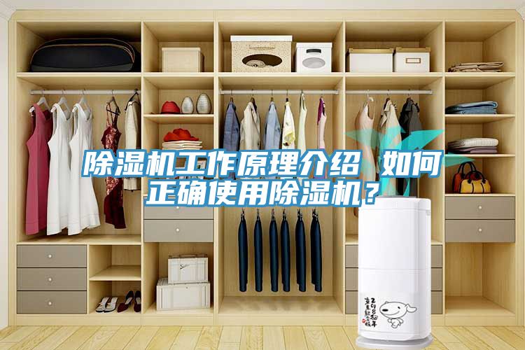 除濕機工作原理介紹 如何正確使用除濕機?