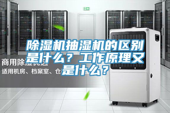 除濕機抽濕機的區別是什么？工作原理又是什么？