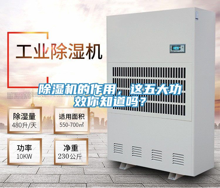 除濕機的作用,這五大功效你知道嗎?