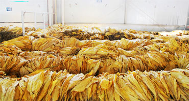 煙草行業環境加濕濕度控制解決方案1